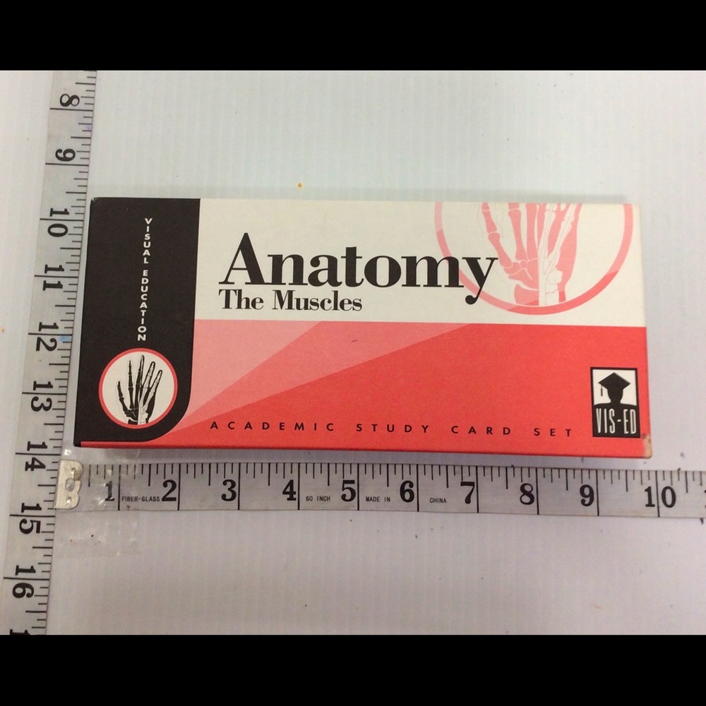 Anatomy-The Muscles Study Card Set